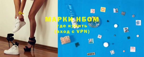 стафф Алексин