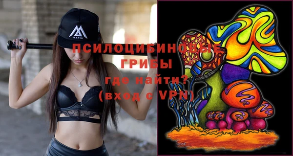 стаф Алексеевка