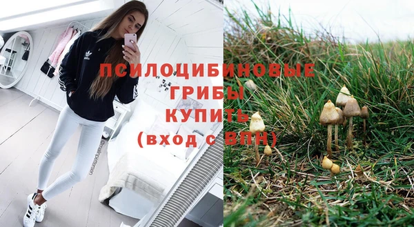 стафф Алексин
