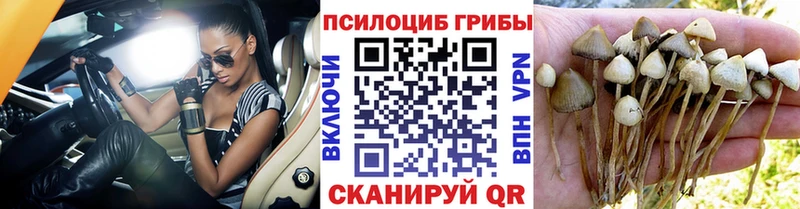 наркошоп  ссылка на мегу ссылки  Псилоцибиновые грибы Magic Shrooms  Обнинск 